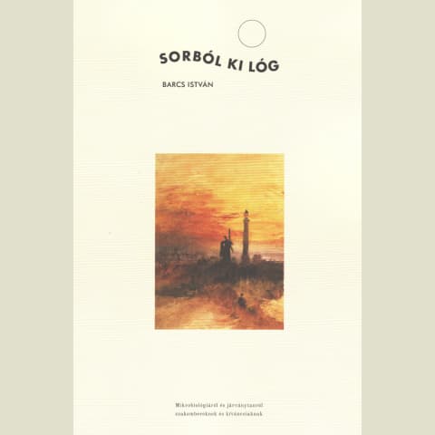 Sorból ki lóg